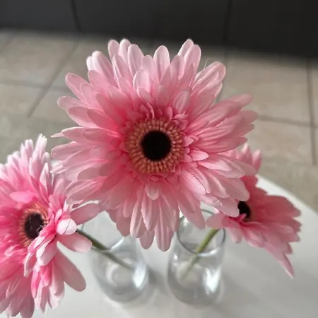 Apartment Gaugain C 0401