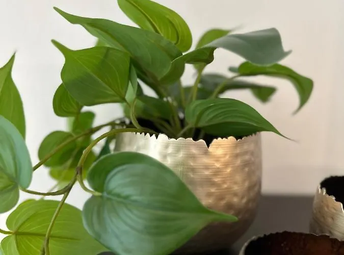 Gaugain C 0401 Daire *