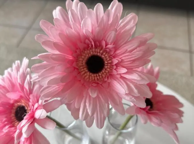 Daire Gaugain C 0401